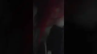 18 de enero de 2020