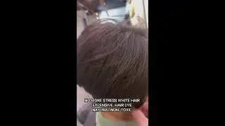 Gifu Black Hair Milk- White Hair Solutions Non-Toxic