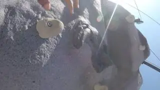 faux rock climbing with GoPro Hero5 Session on head mount