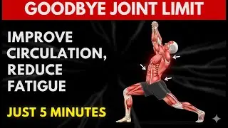 Full Body Stretch to Improve Circulation and Reduce Fatigue for People Over 60
