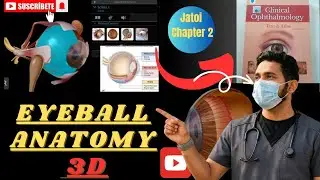 Eyeball Anatomy 3d | Jatoi Clinical Ophthalmology Lectures | Chapter 2