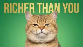 10 самых богатых кошек в мире