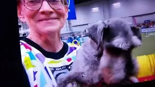 AKC AGILITY INVITATIONAL 2025.FINALS.AKCTV.ESPN