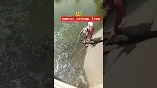 Setrum ikan turunn jaminan ikan punahh ‼️#mancing #fish #shorts #fishing