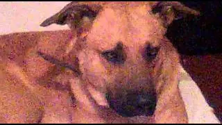 13052011002.mp4