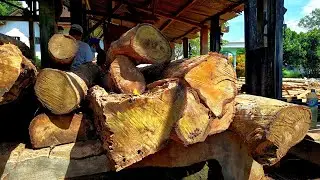 The old man's enthusiasm for sawing teak wood🌳