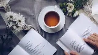 সেইসব চারশত আট ঘন্টা/ প্রেমের কবিতা /bangla kobita abriti