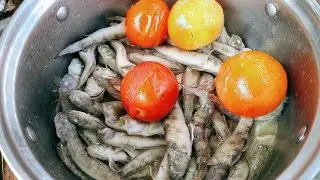 PANGHUHULI NG TALIMUSAK | CATCH AND COOK | DAGAT ADVENTURE