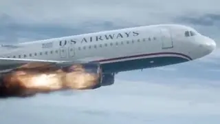 Bird vs plane compilation