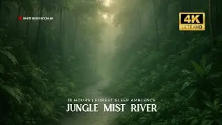 Jungle Mist River &bull; 10 HOURS &bull; Silent Rainforest Stream Ambience for Sleep & Focus (4K UHD)