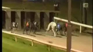 IGB - GoGreyhoundRacing.ie A0/A1   23/09/2019 Race 7 - Youghal