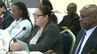 Ms. Michelle Alvarez at PISLM's High Level Ministerial Meeting
