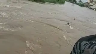 Nala palho. Barath .sialkot