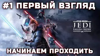 Star Wars Jedi: Fallen Order! #1 Первый взгляд, посмотрим что за игра :)