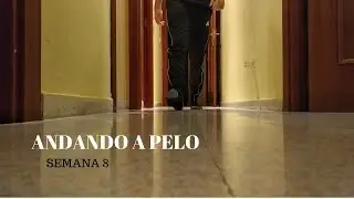 VOLVIENDO A ANDAR - Rotura Tend&oacute;n de Aquiles Semana 8