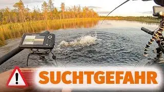 Ich bin SÜCHTIG! KRASSE BISSE an der ....!
