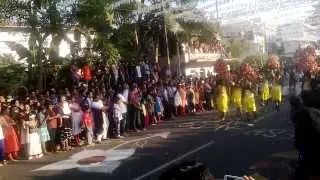 cochin carnival2014