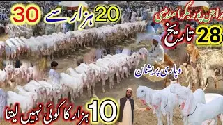 Today's latest update of Bakra Mandi village and rural cheap market Khalil goat farm dera ghazi khan