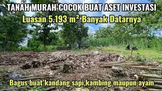 Tanahmurah bagus buat usaha ternak DLL di kawasan dekat penduduk@Avri bocil Property