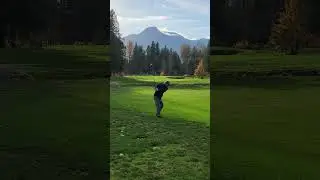 ##wow #nice #golf #shortvideo #viralvideo #40k #trendingreelsvideo