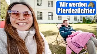 Wir werden Pferde Z&uuml;chter 🐎 Besuch auf dem Gest&uuml;t! 1 Tag Ponyhof! Mamiseelen
