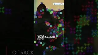 AI's Glow Track Joins the Revolution of Behavioral Tracking & Dynamics