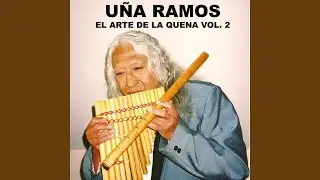 Potosino Soy