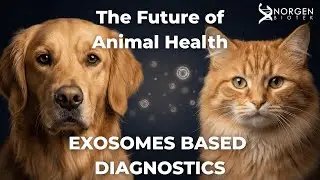 Exosomes for Veterinary Research