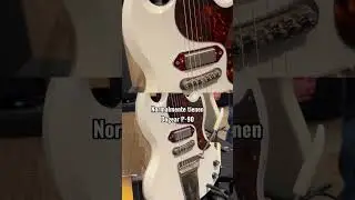 @RetroSoundGuitars is one of the brands that were at Wood Wire Volts 2026