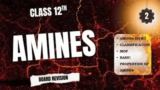 ORGANIC CHEMISTRY Class 12 || AMINES AND NITRO COMPOUNDS  || LECTURE 2 || ORGANIC  PYQ CBSE 2025