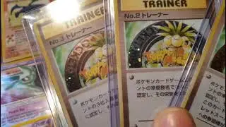 Custom Made Tropical Mega Battle Trophy Cards No 1,2,3 For Sell | Rarest Pokemon Cards In The World