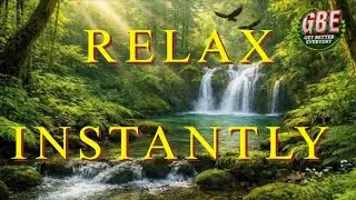 Healing Nature Sounds & Relaxing Music 🌿 Emotional Calm & Peace