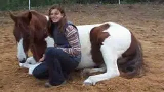Horsemanship