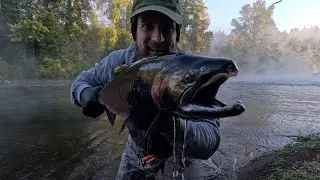 Oregon Santiam River Coho Salmon + 2 Surprise Alien Fish