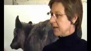 Veggie vision interview a vegetarian artist pt 1