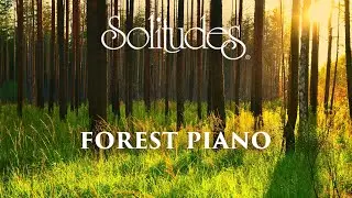 Dan Gibson&rsquo;s Solitudes - A Path to Solitude | Forest Piano