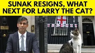UK Elections | Will The Stay Of Larry ( The Cat ) Get Affected After The Change In Government ? N18G