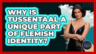 Why Is Tussentaal A Unique Part Of Flemish Identity? - Exploring The Benelux