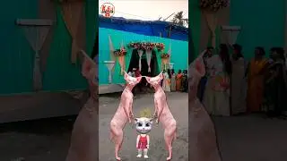 Billi bole meow meow cute catdanceshort 🐱❤️🐱 video#automobile#song #funny#comedycartoon#30onTrending