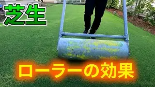 【芝生】ローラー転圧のすすめ【不陸修正だけじゃない！】