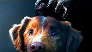 Good Boy - Trust his instincts (2025)16 | Horror, Thriller