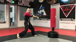 Sandoval Freestyle Karate-Level 2 Sparring, Offensive Techniques
