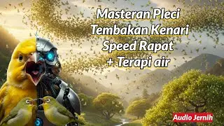 Masteran Pleci Tembakan Kenari Berkelas Paling Disukai Juri Speed Rapat + Terapi Gemercik Air