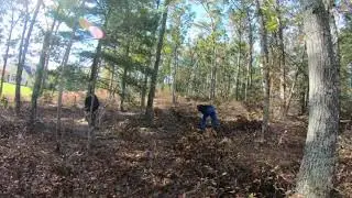 Quick tree removal after storm