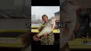 Fishing a lake that holds 20 POUND BASS!😳 #fishing