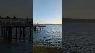 Beautiful Seattle walking the board walk on way the the Ferris wheel #seattle #trip #sea  #mountai