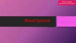 Pharmaceutical PMD Related Question & Answer || Pharmaceutical exam question ||Part_12
