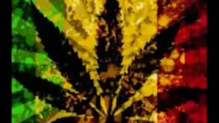 The Oh! - Smoke Weed Everyday