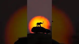 Creative photography with toy animals 🔥🐘 #creative #animals #shorts #toys
