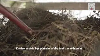 Poďte s nami do lesa: Prikrmovanie raticovej zveri